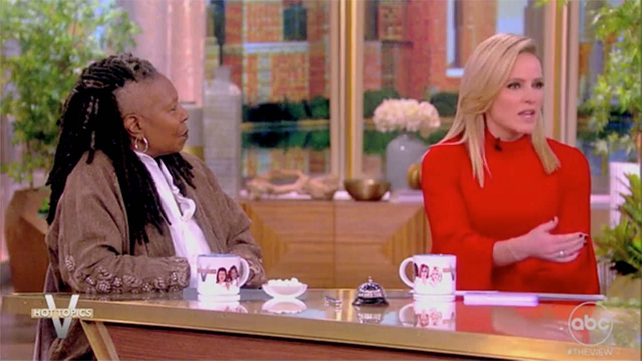 'The View' co-host upsets fellow liberal hosts after deeming Trump punishment in NY civil case 'excessive'