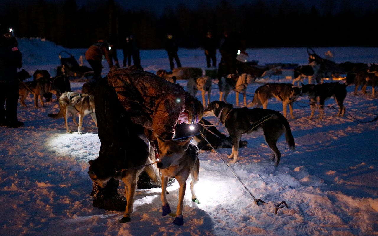 Read more about the article French teen, 13, dies after dog sled crash in Quebec, Canada