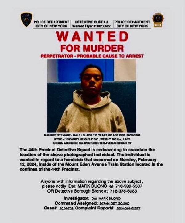 Read more about the article NYC teen wanted in deadly subway shooting