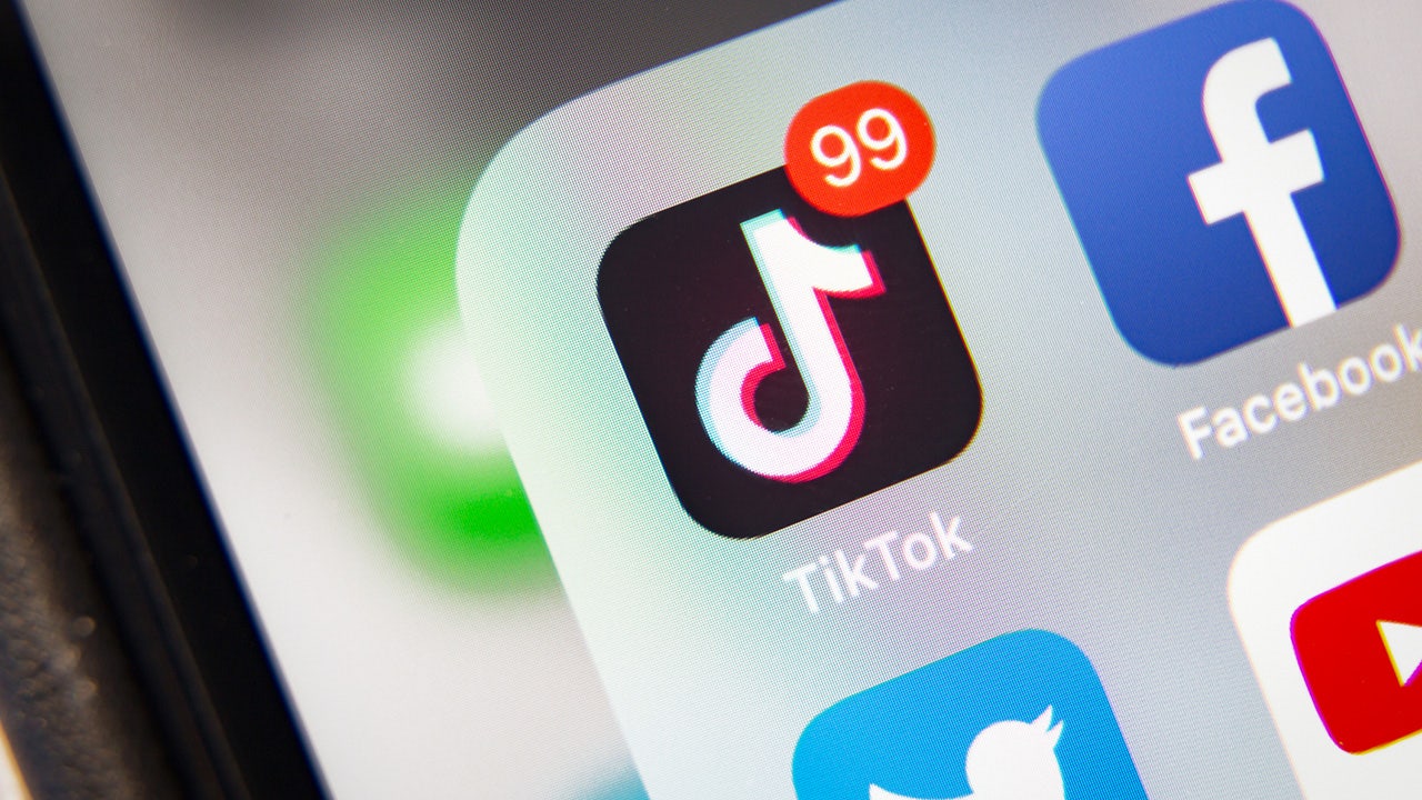 Read more about the article Most Americans support House plan to ban TikTok if it isn’t sold, poll finds
