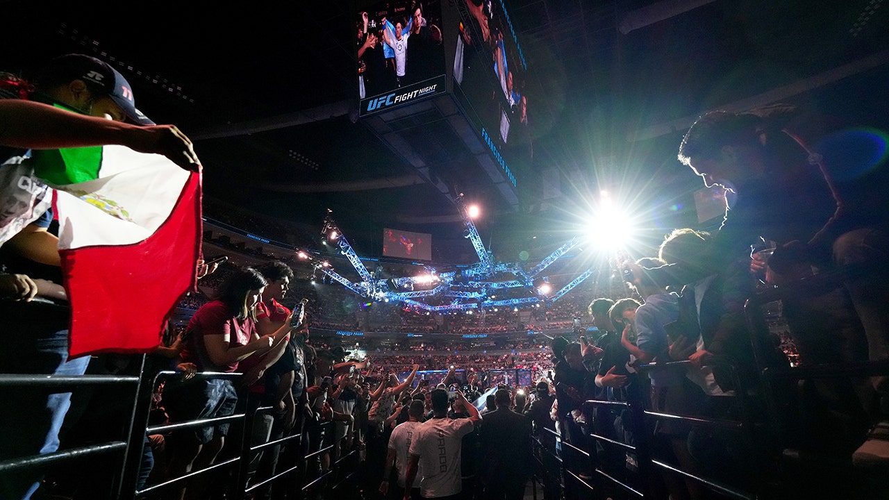 UFC fan knocked out in massive brawl at Mexico City event