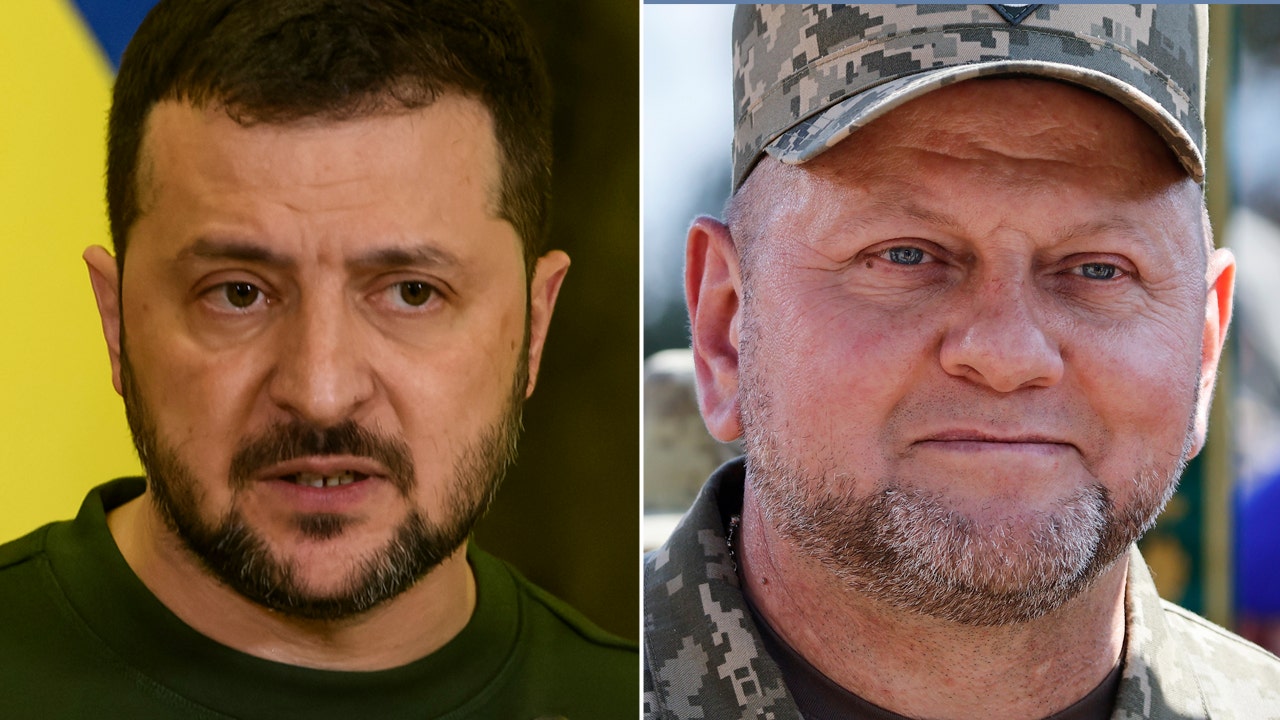 Read more about the article Zelenskyy replaces top military commander in wider leadership shake-up