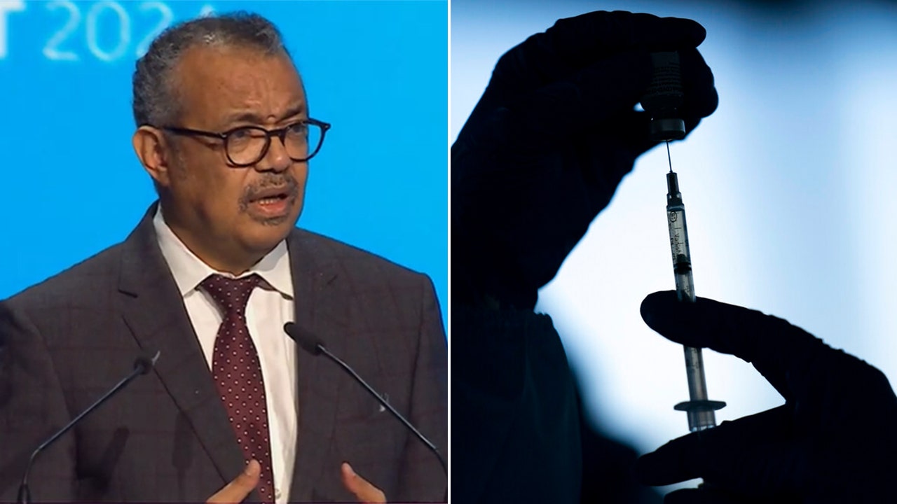 Read more about the article Disease X outbreak only a matter of time, says WHO chief Tedros