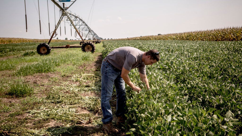 US farmers permitted to use existing supplies of weed killer after ban