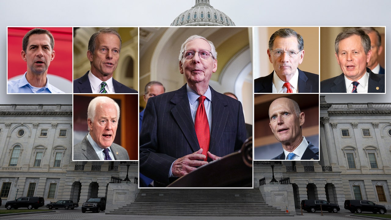 Crowded field of potential McConnell successors emerges in Senate