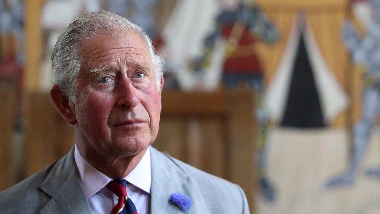 King Charles' cancer diagnosis leaves royal family 'very thin on the ground:' expert