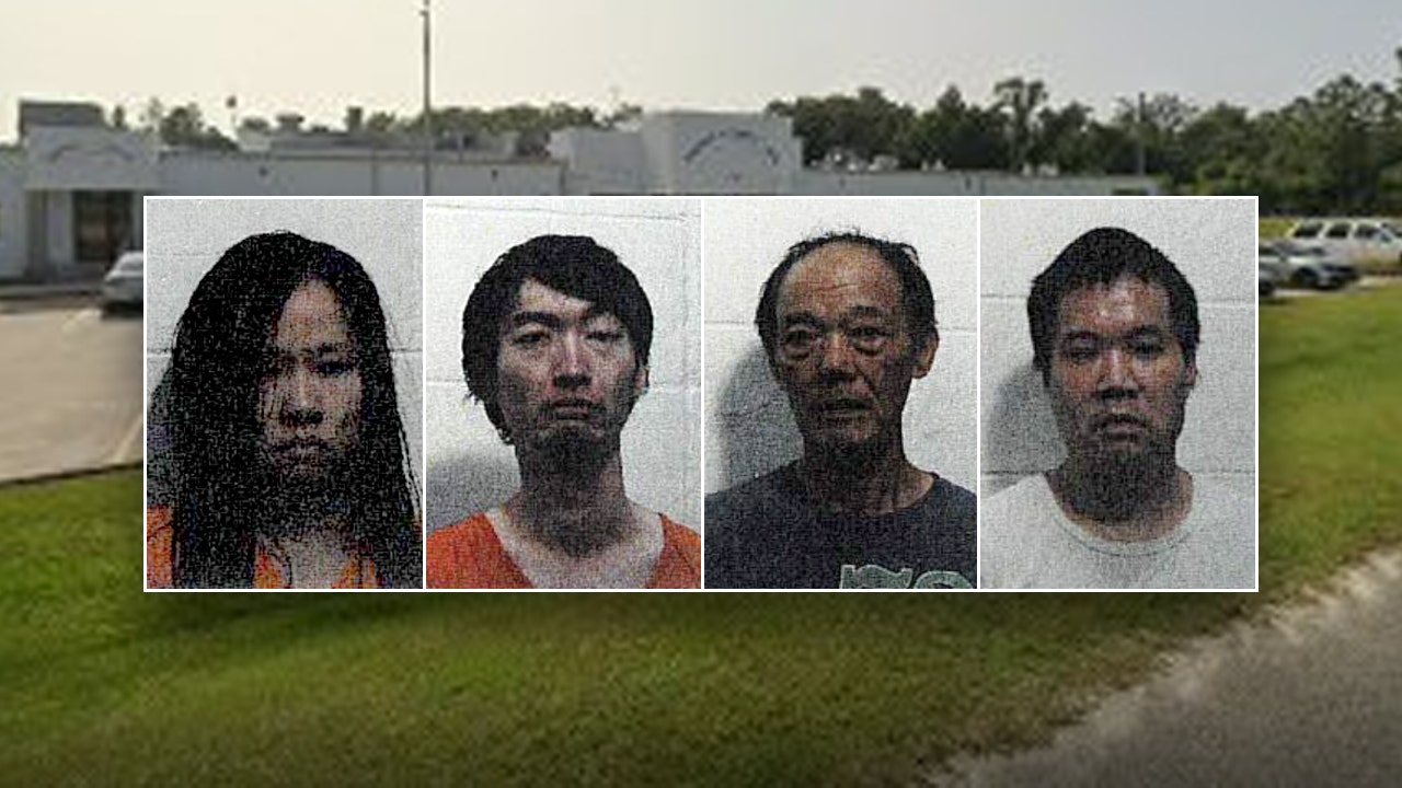 4 Chinese citizens, 1 in US illegally, allegedly found with $22.5M worth of marijuana plants in Georgia