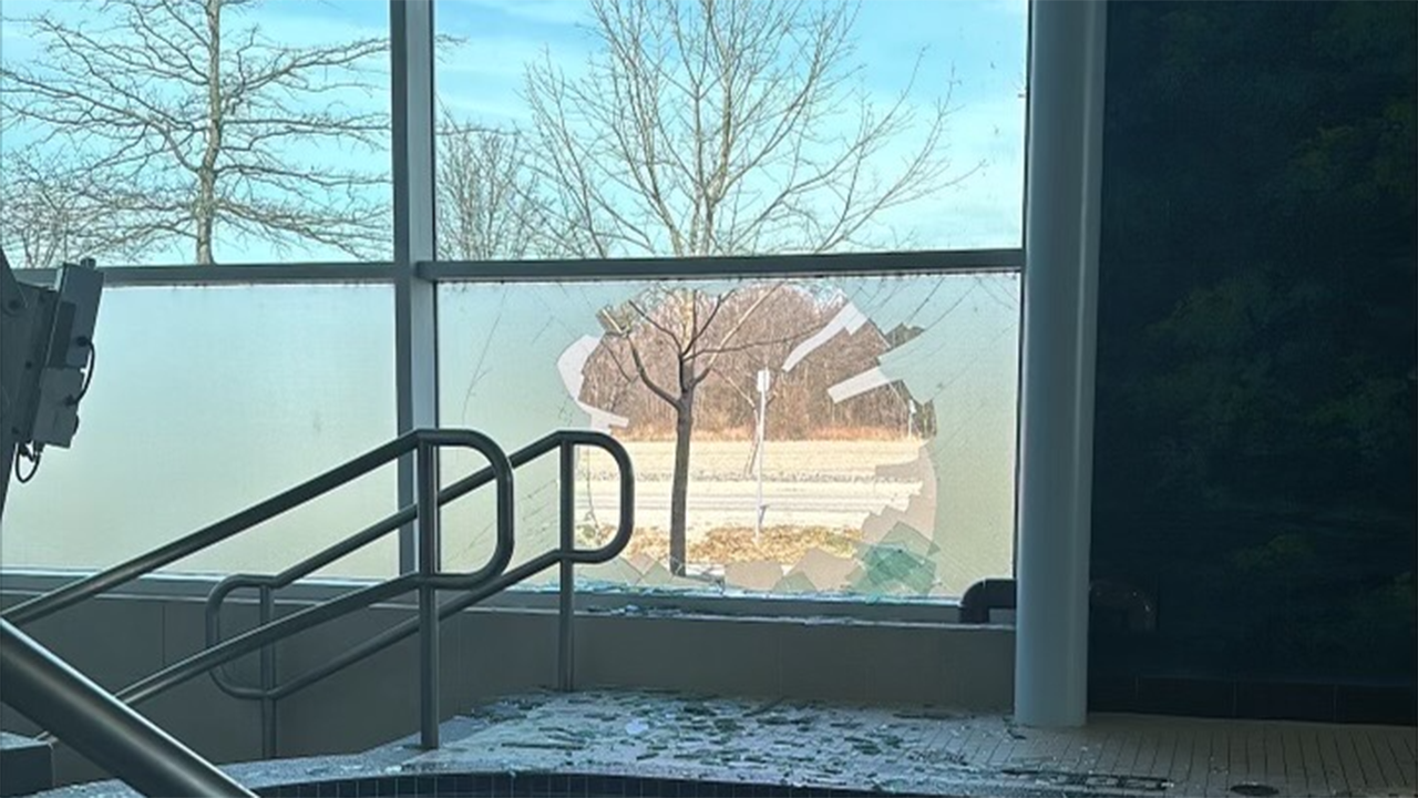 Canada pool forced to close temporarily after unexpected visitor crashes through window