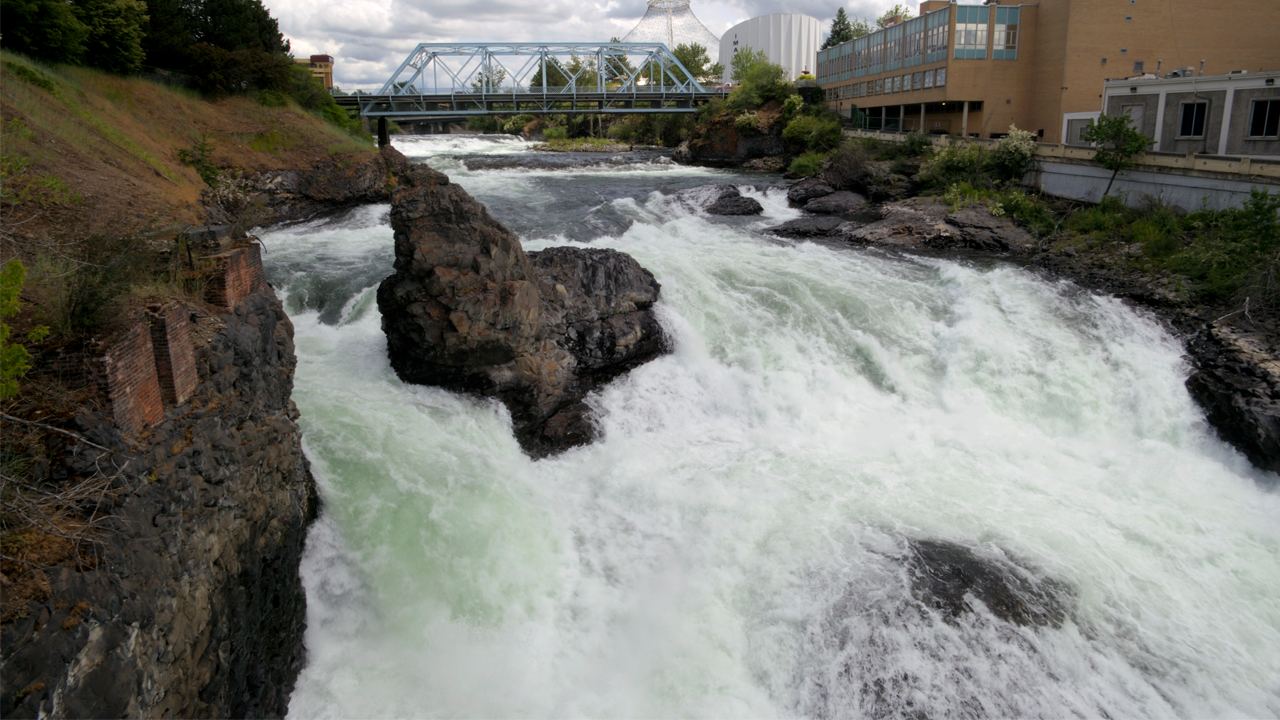 Read more about the article Thousands of fish found dead in Spokane River. No one knows why
