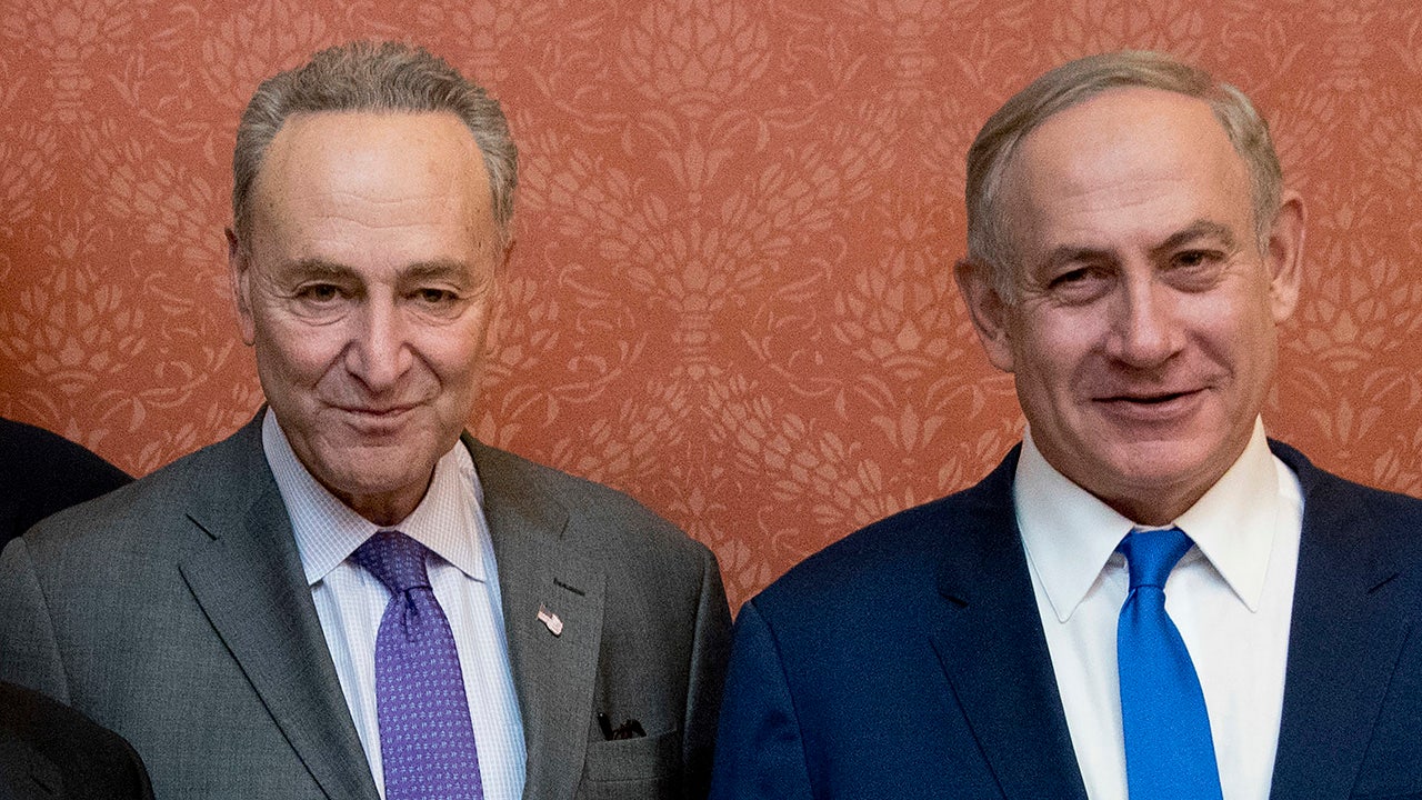 Lieberman dings Schumer over Netanyahu remarks: Would he do that to Sunak or Zelenskyy?