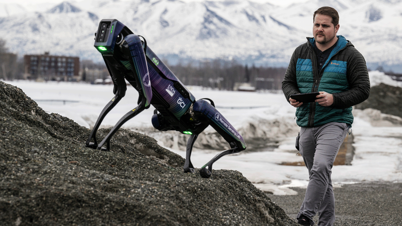 Robot disguised as a coyote or fox will scare wildlife away from runways at Alaska airport