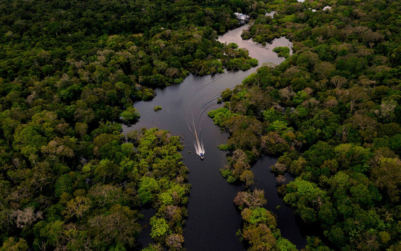 Read more about the article Brazil and France announce $1.1 billion investment plan for Amazon rainforest
