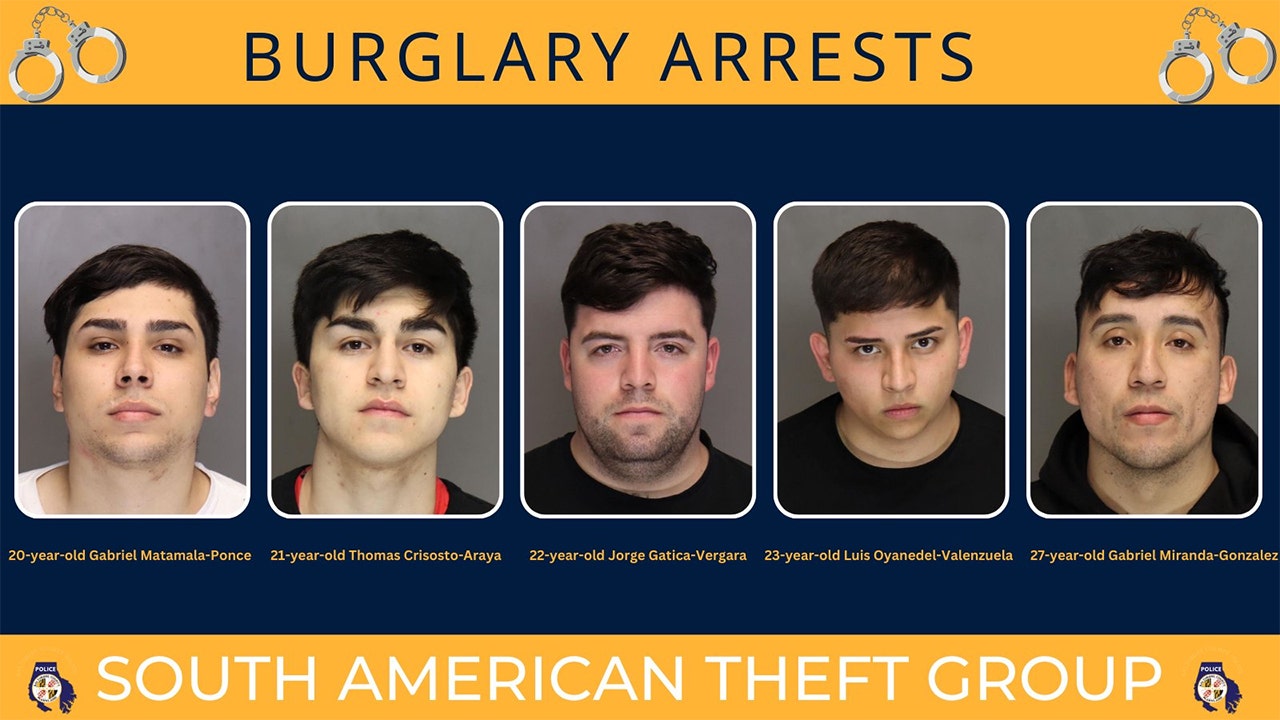 Read more about the article Maryland thieves connected to theft ring from South America, in US illegally: ICE
