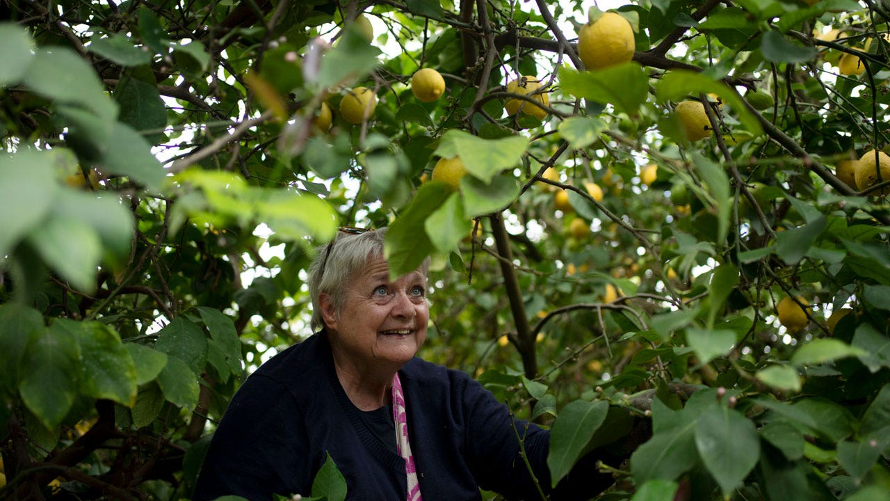 Evangelical Christians, who have long supported Israel, visit as wartime volunteers