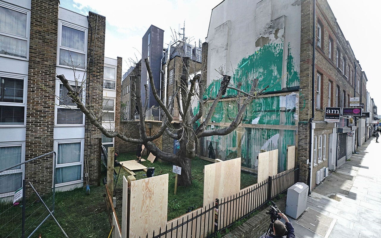 Banksy's London tree mural covered in plastic, fenced off after apparent vandalism