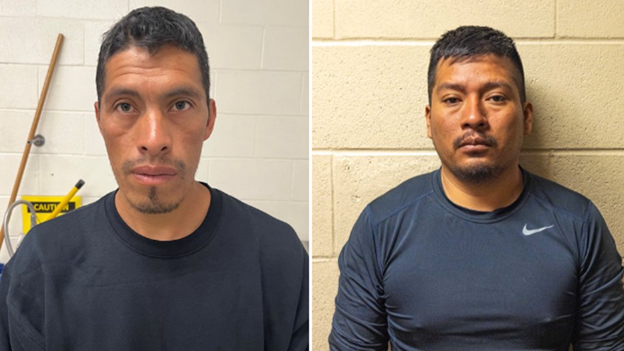 Read more about the article Border Patrol agents arrest child sex offenders across southern border