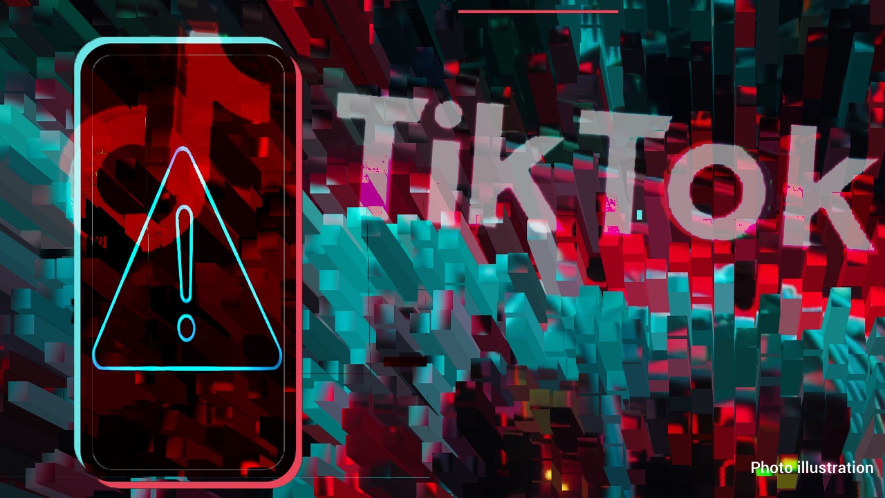 Read more about the article National security group launches 7-figure ad campaign targeting TikTok