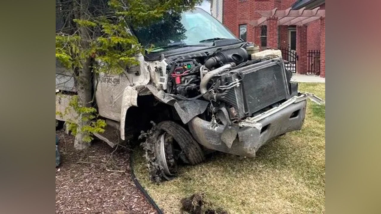 Michigan man steals dog at gunpoint, leads police on chase in stolen tree trimming truck before crashing: PD