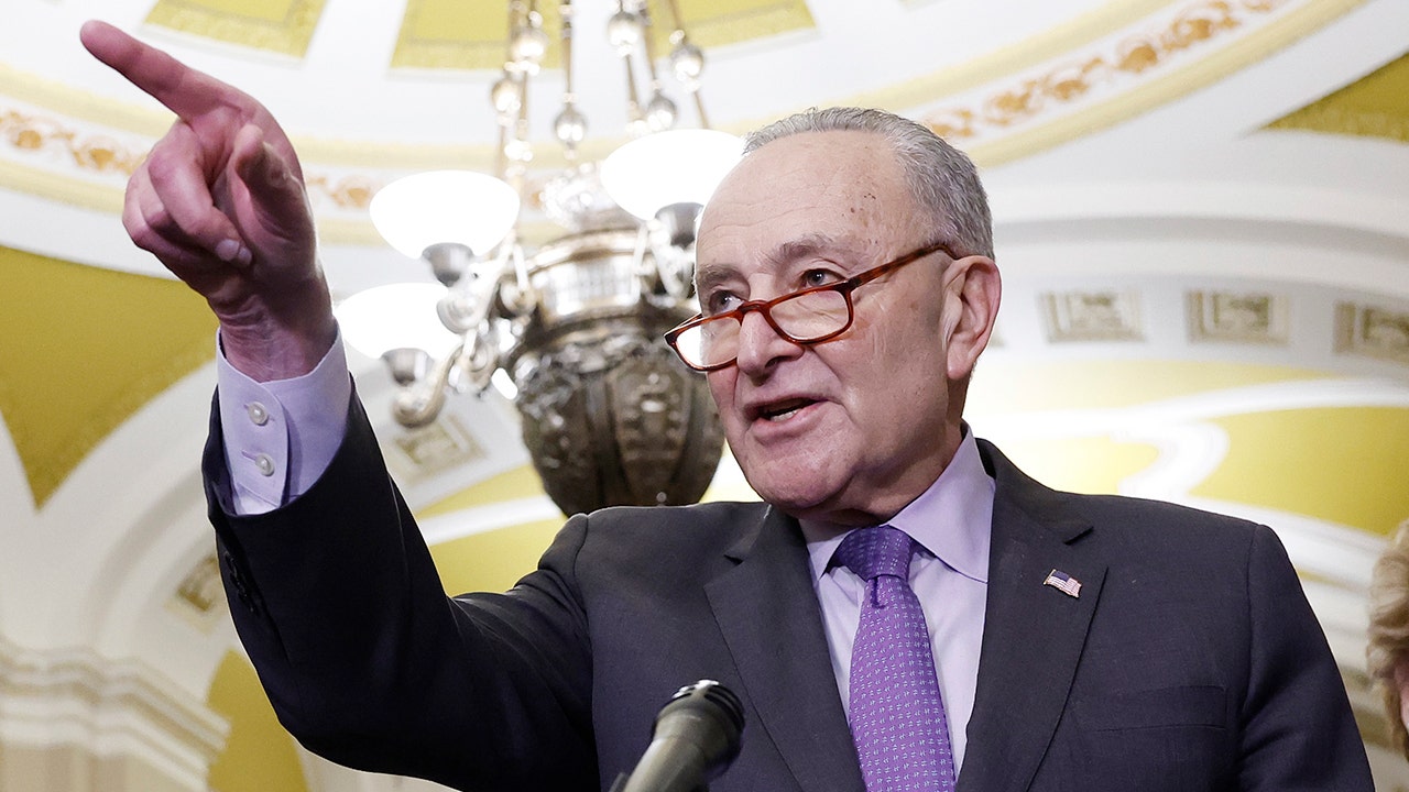 Read more about the article Schumer declines Netanyahu offer to speak with Senate Democrats