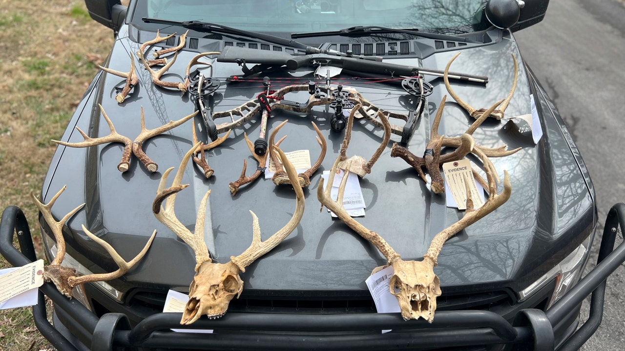 Read more about the article Tennessee man jailed for using spotlight to hunt deer, threatening landowner