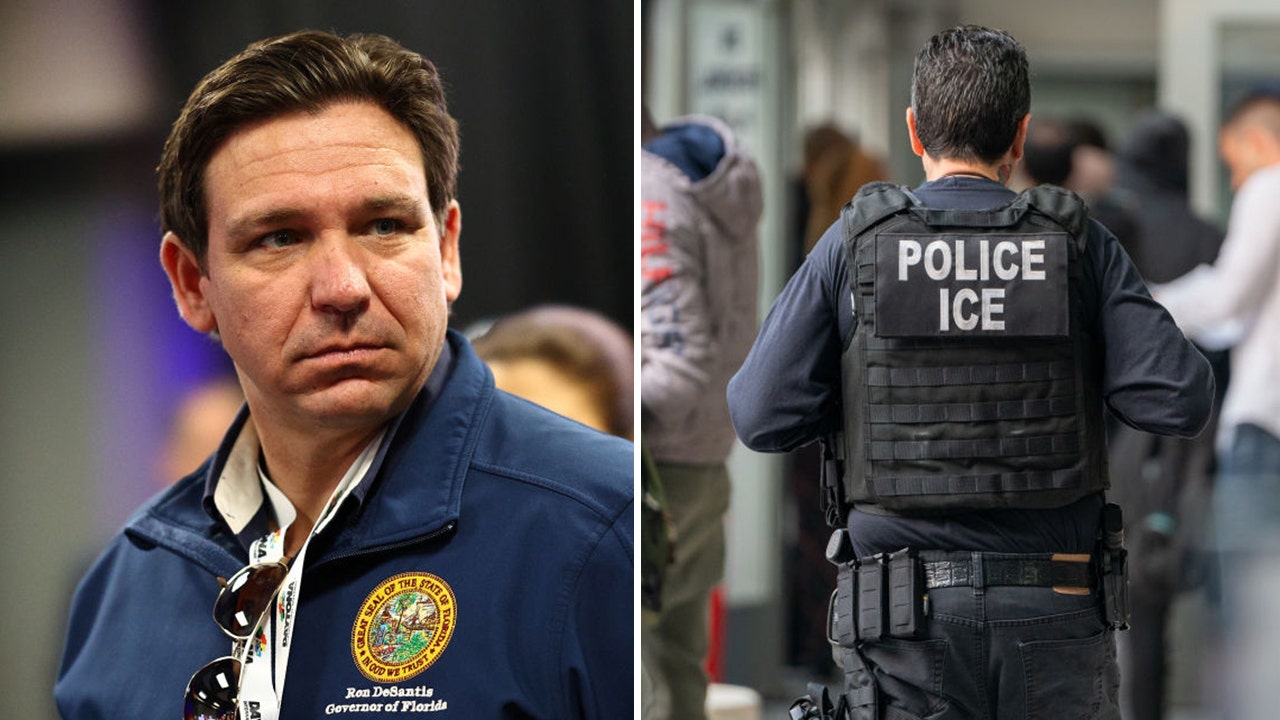 Read more about the article Ron DeSantis says he stepped in to ensure illegal immigrant, accused rapist is back in ICE custody