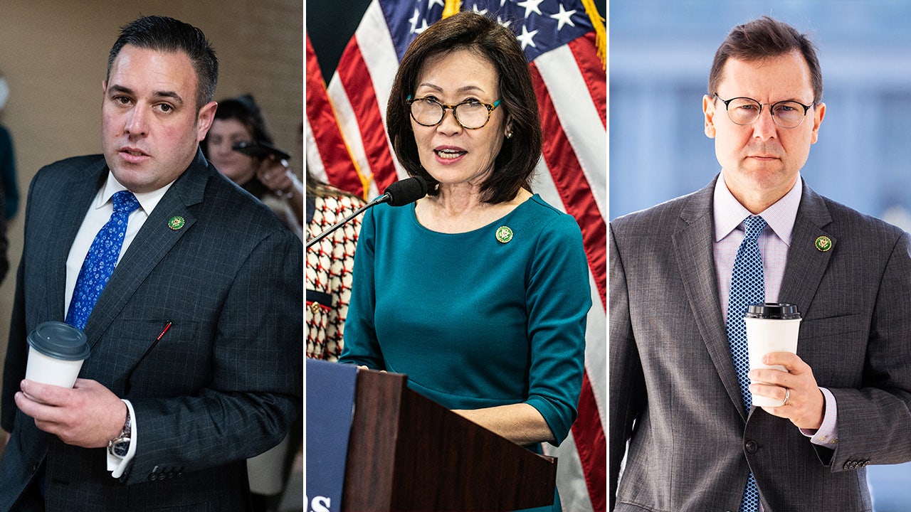 Dems target four competitive House seats to wrestle back majority from GOP
