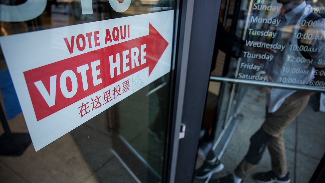 Read more about the article Federal judge tosses lawsuit challenging DC noncitizen voting law