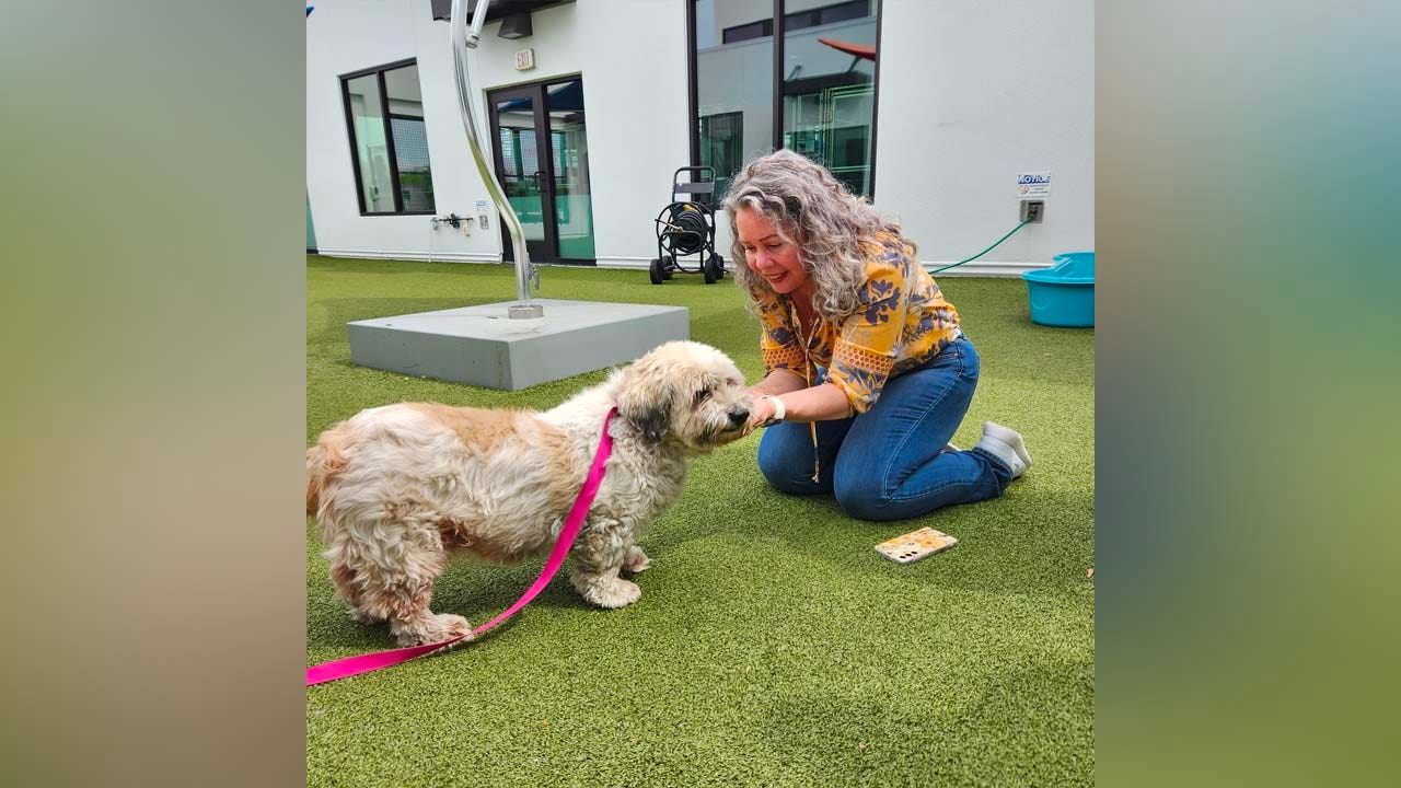 Florida woman reunited with her dog after spending 10 years apart