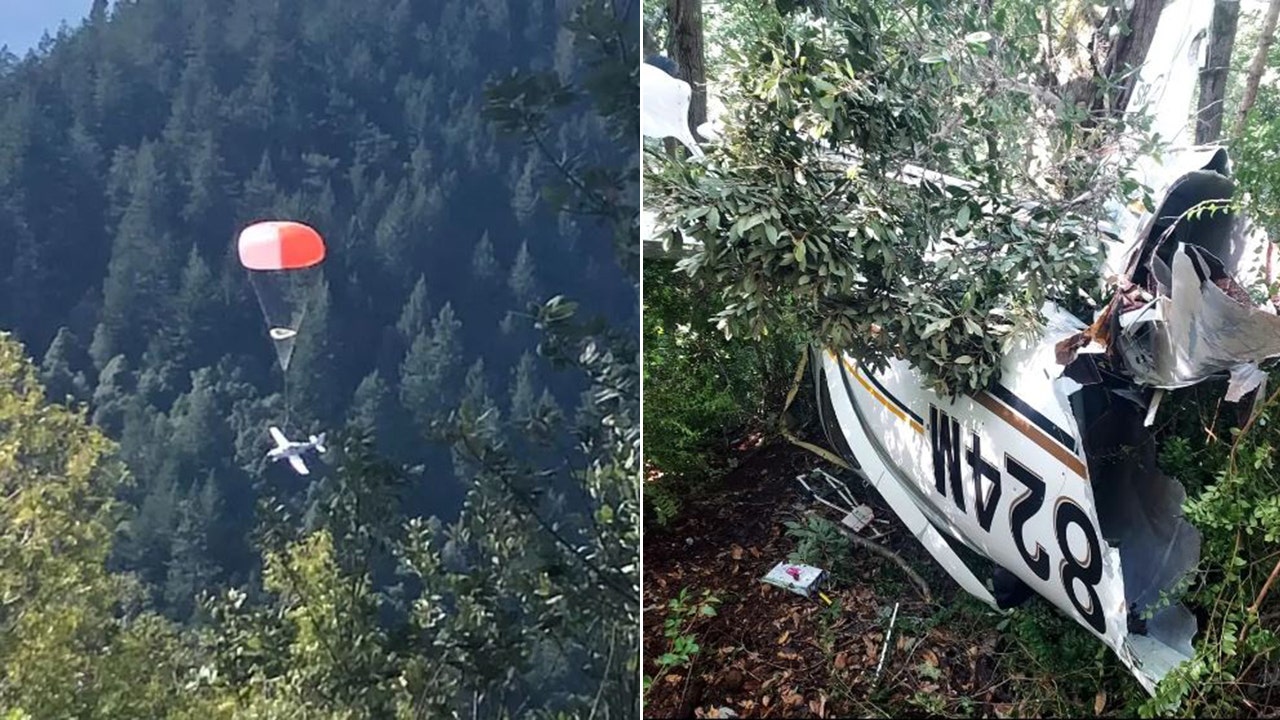 Read more about the article California family survives small plane crash after aircraft deploys parachute