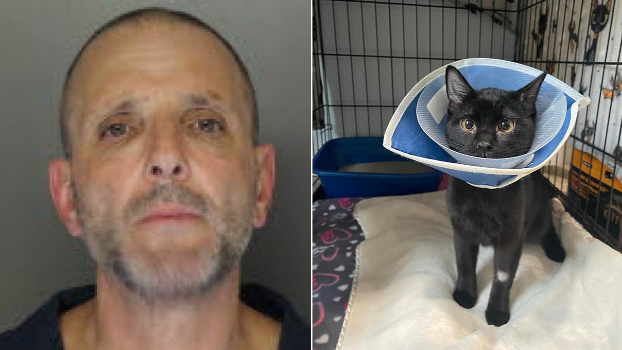 Read more about the article Pennsylvania man accused of skinning kitten’s face ‘down to the bone’ claimed it was a jaguar: officials