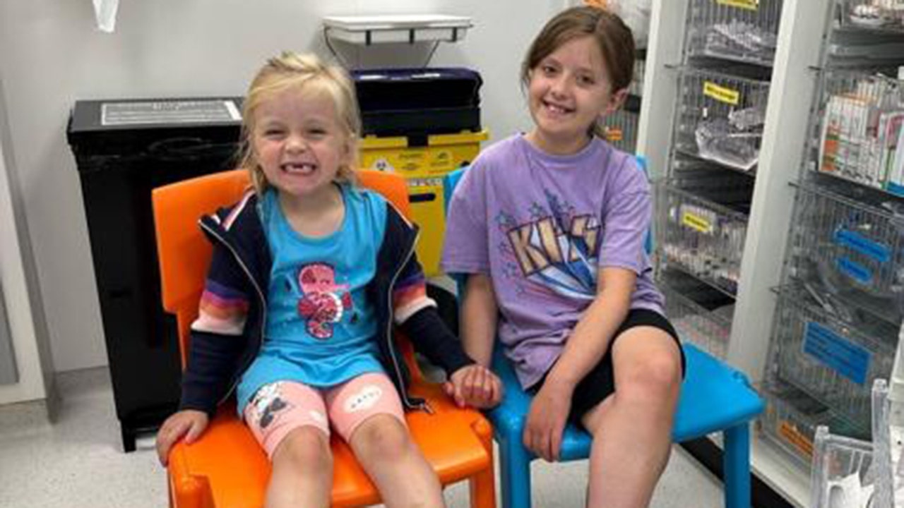 Read more about the article Young girl survives cancer thanks to little sister’s lifesaving donation: ‘A perfect match’