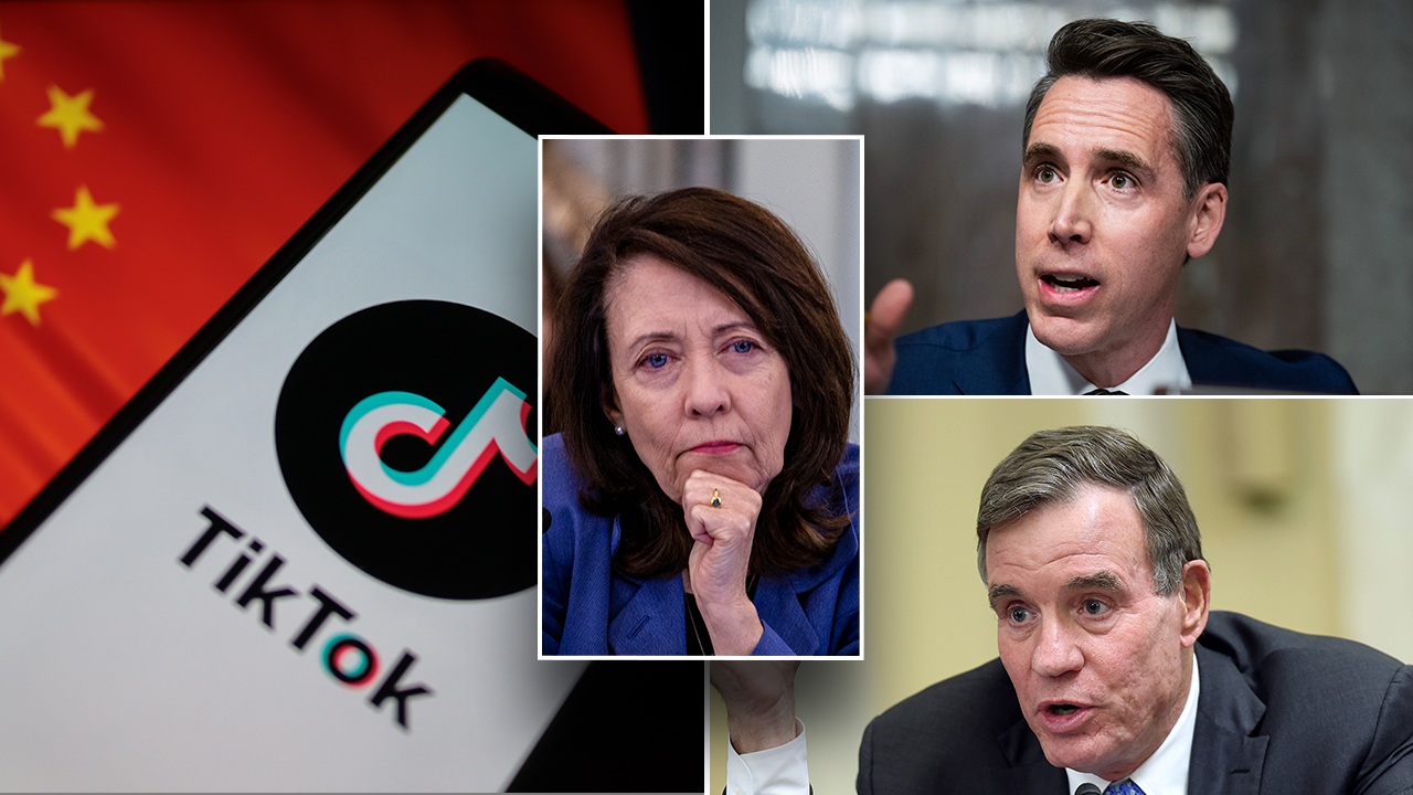Read more about the article Bipartisan senators push back as key Dem signals doom for TikTok bill