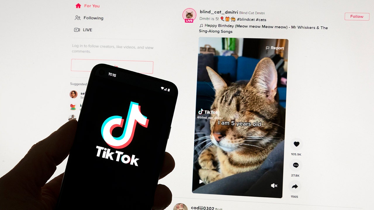 Read more about the article European Union reviewing details from TikTok on the video platform’s new app that pays users to watch content