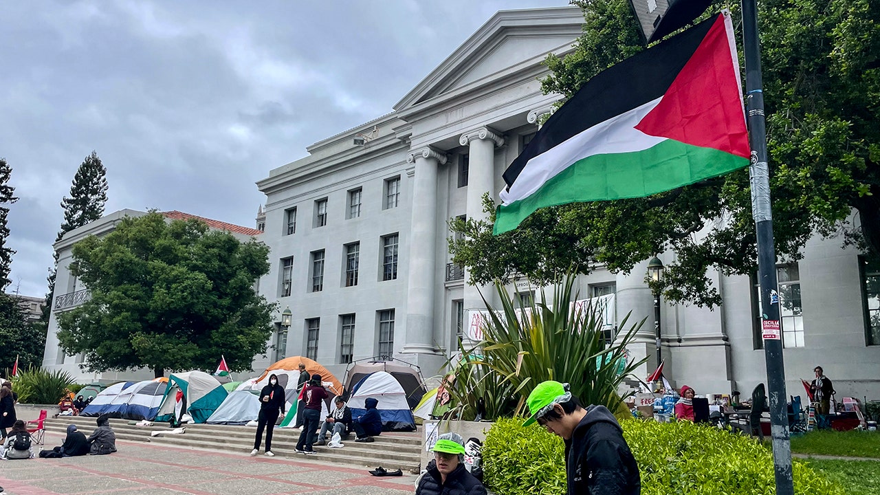 Anti-israel campus protesters make demand of administrators, vow to stay put until universities meet it
