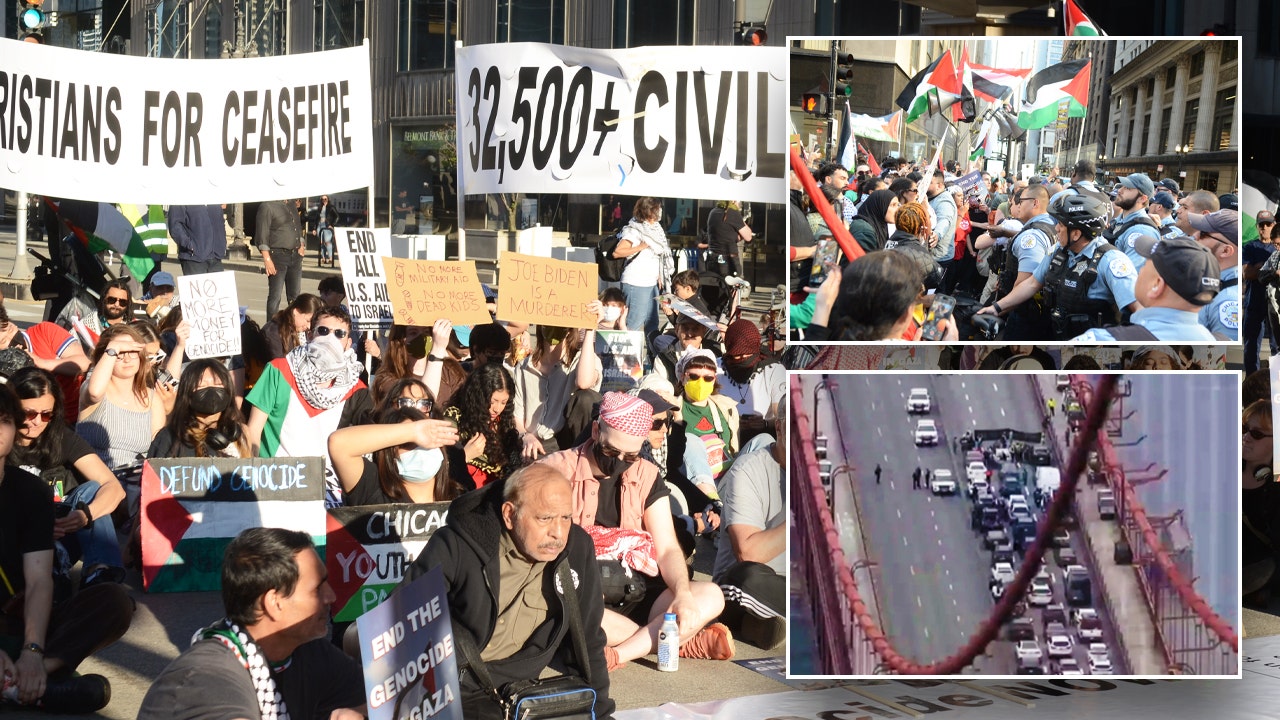 Read more about the article Left-wing dark money group funds bail for anti-Israel agitators blocking traffic