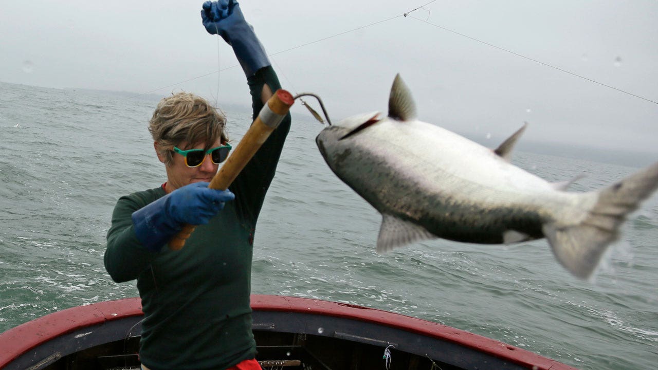 Read more about the article CA salmon fishing canceled for second year in row as population wanes
