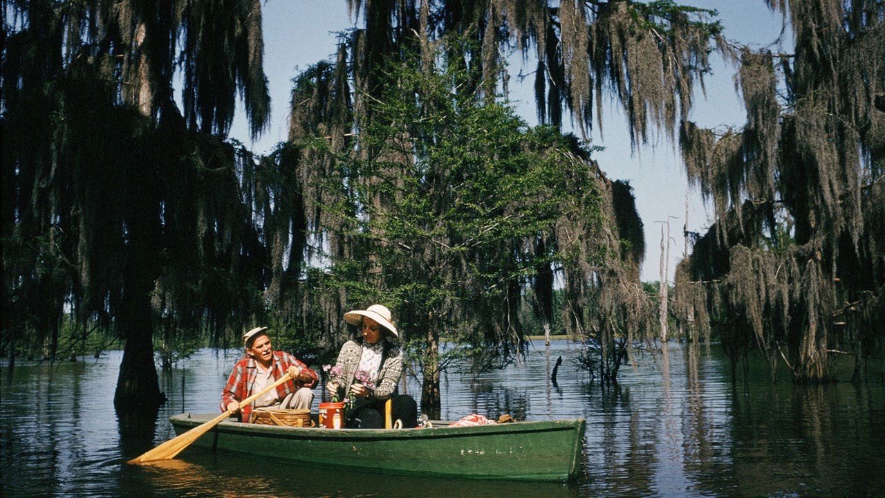 Visit Louisiana to experience rich culture and irresistible charm through regional cuisine, nature, and history