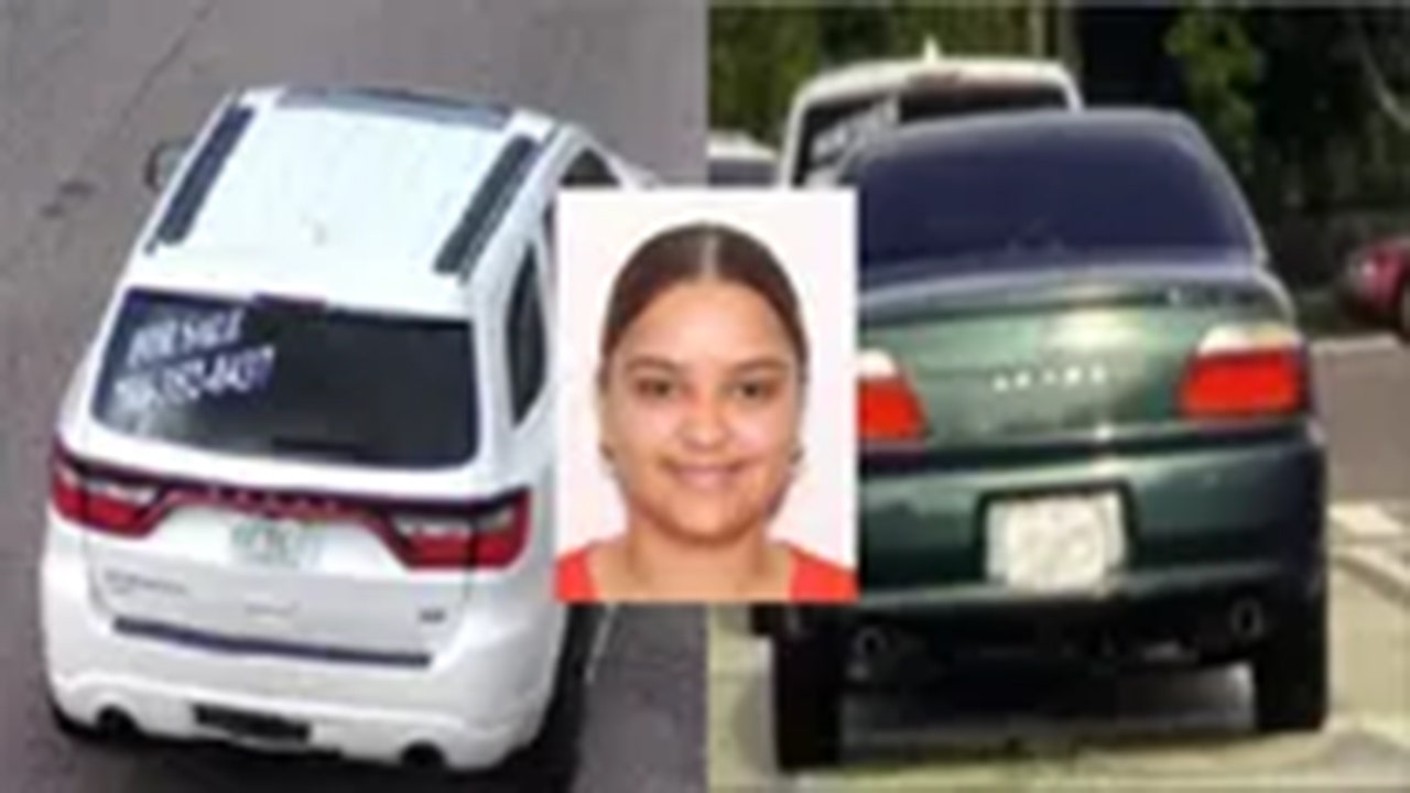 Read more about the article Suspects on loose after carjacking caught on video, woman’s remains found in burned SUV