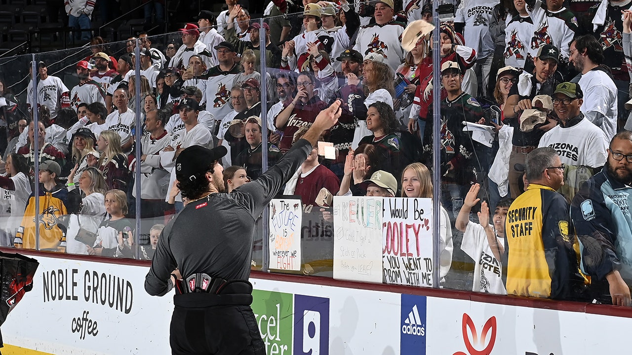 Read more about the article Coyotes give Arizona fans one final show with win over playoff-bound Oilers