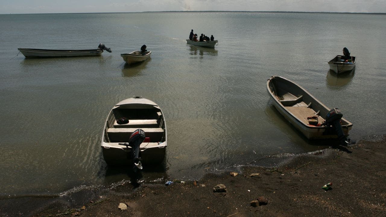 Read more about the article 16-year-old boy killed by crocodile after boat breaks down: police