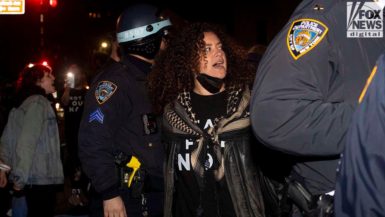 Read more about the article Demonstrators protest arrested near Sen. Chuck Schumer’s New York home