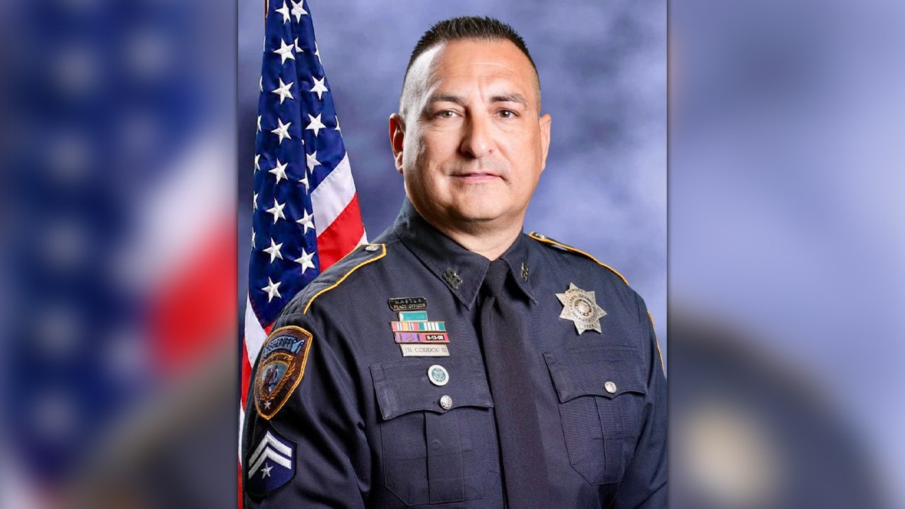 Read more about the article Texas deputy killed while working crash scene was hit by driver talking on phone