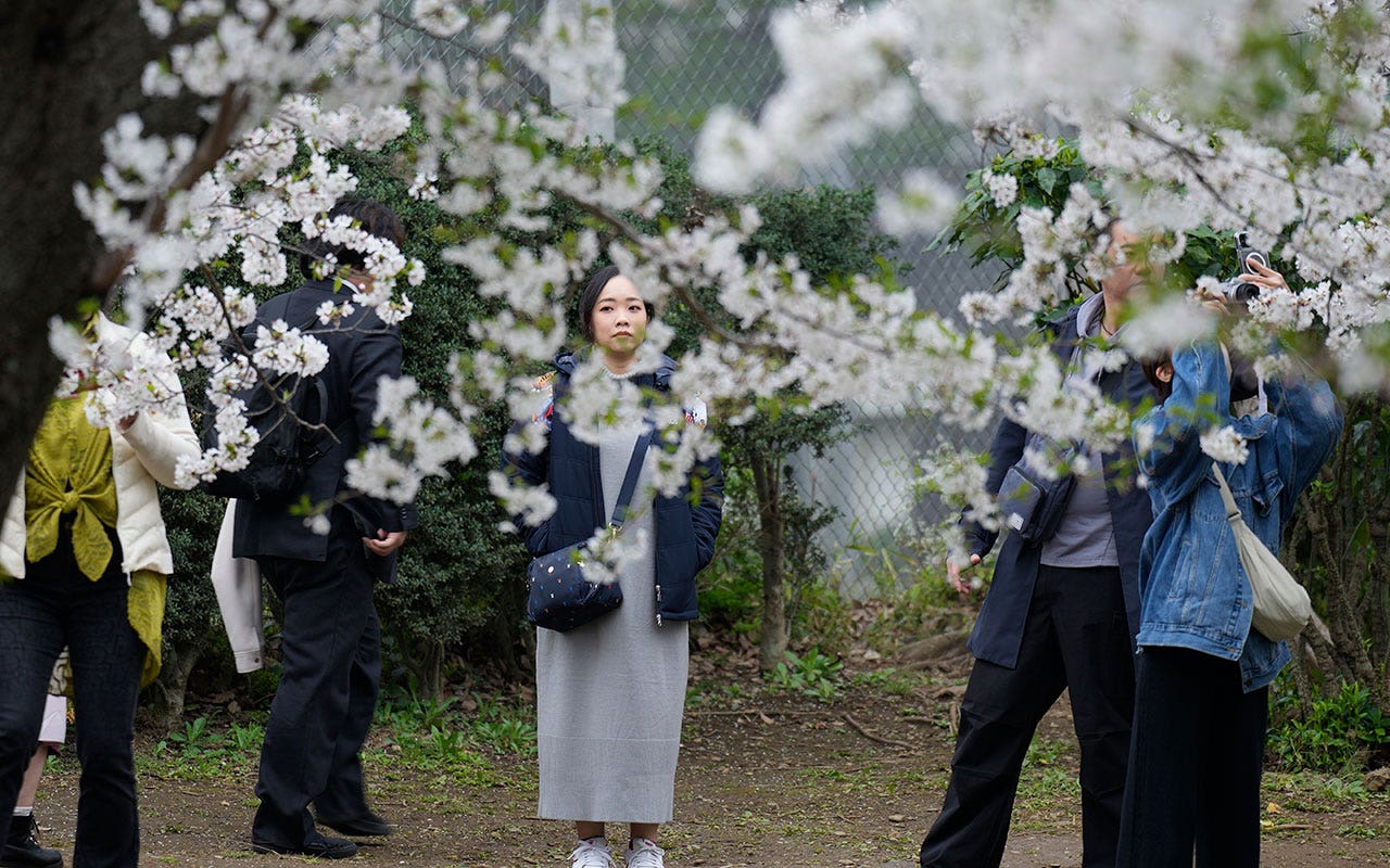 Read more about the article Crowds flock to Tokyo, Japan to see cherry blossoms after delayed bloom