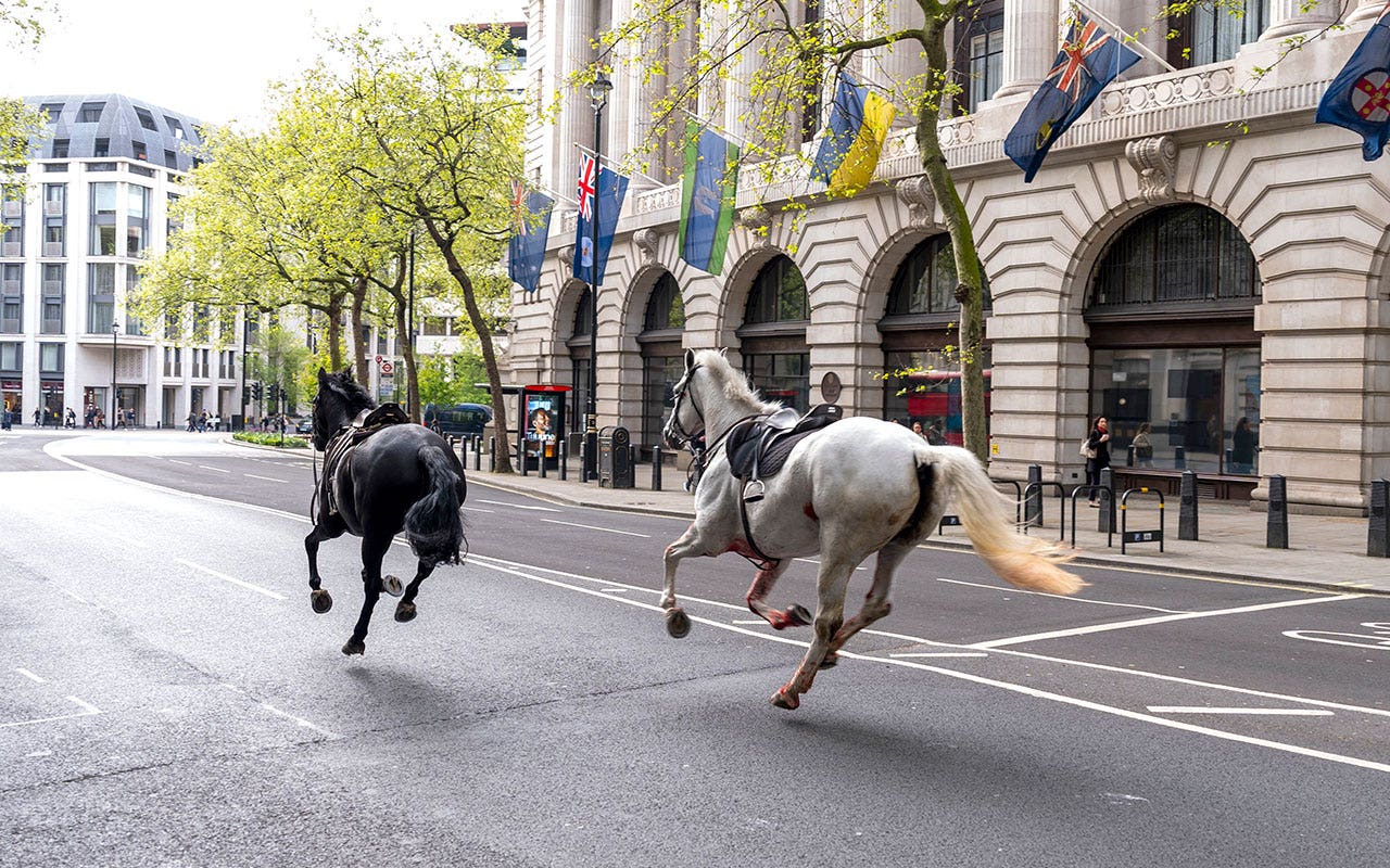 2 military horses in serious condition after breaking free, running loose across London
