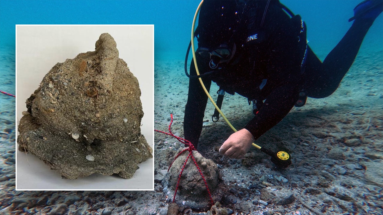 Strange rock uncovered during sea search turns out to be ancient battle gear