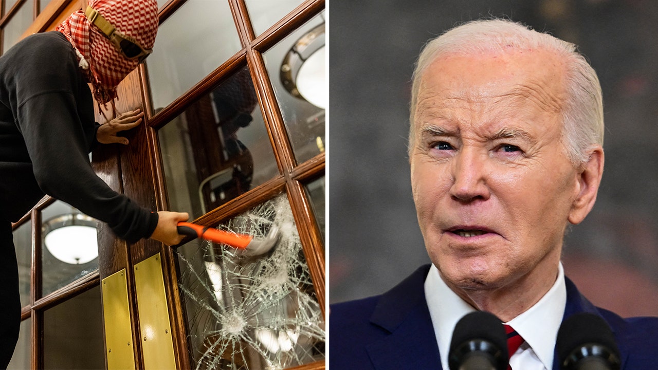 Read more about the article HOWARD KURTZ: Biden takes role as bystander on border, campus protests