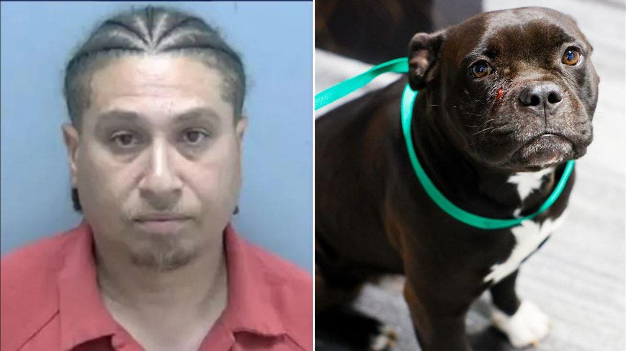 Florida man shoots family dog in the face during argument over infidelity: police
