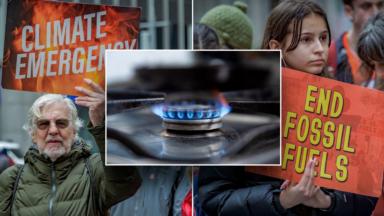 Read more about the article Left-wing climate group with shady backing takes prominent role against gas stoves