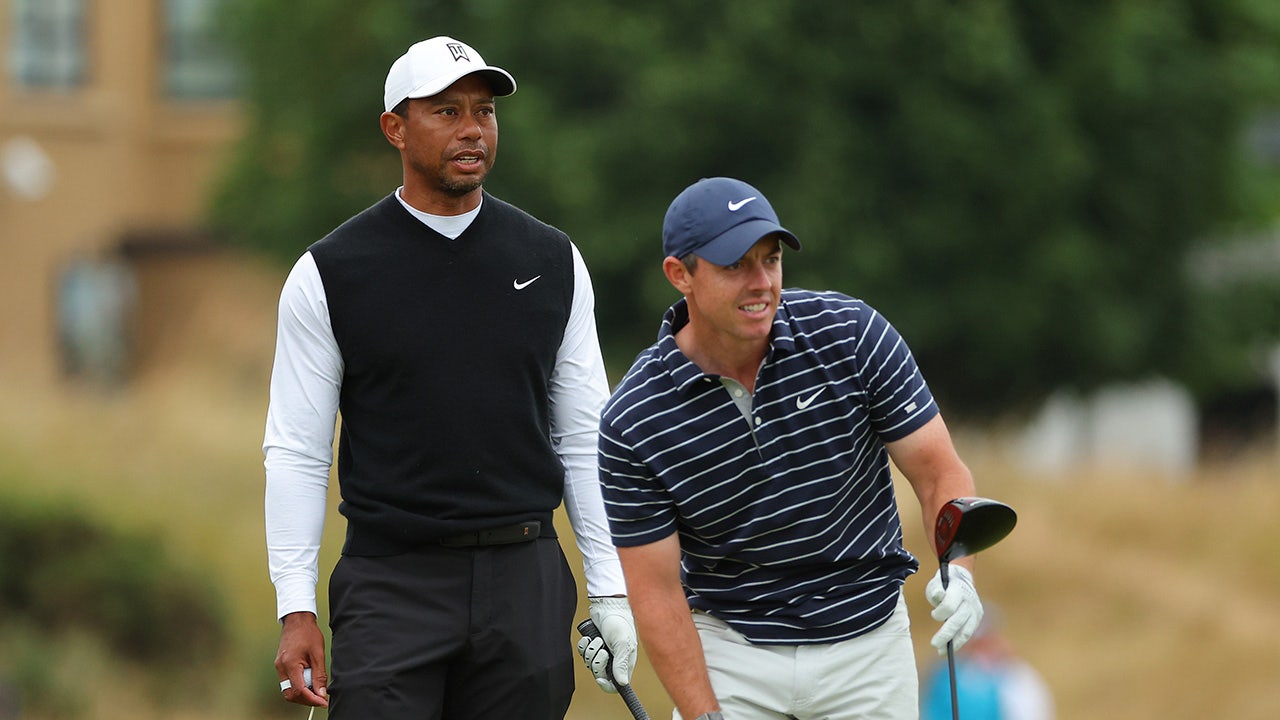 Read more about the article Tiger Woods to get $100 million in equity for staying with PGA, Rory McIlroy receiving $50 million: report