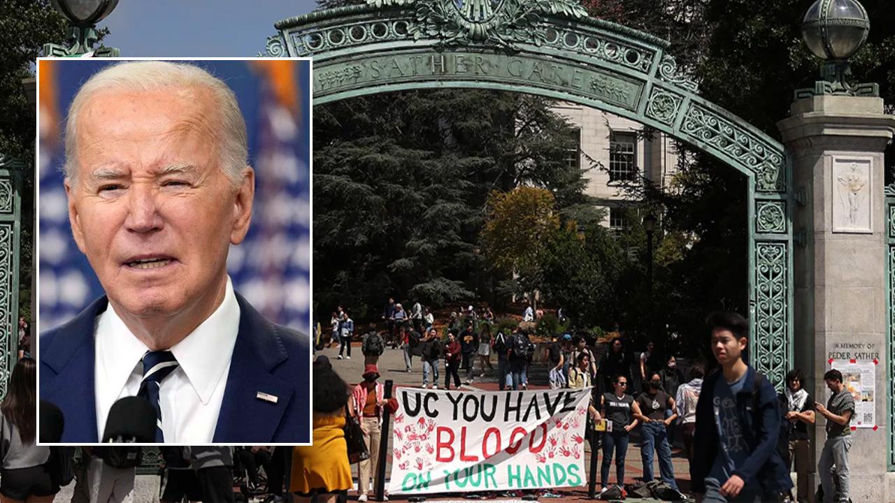 Read more about the article White House silent if anti-Israel protesters will be barred from student loan forgiveness programs
